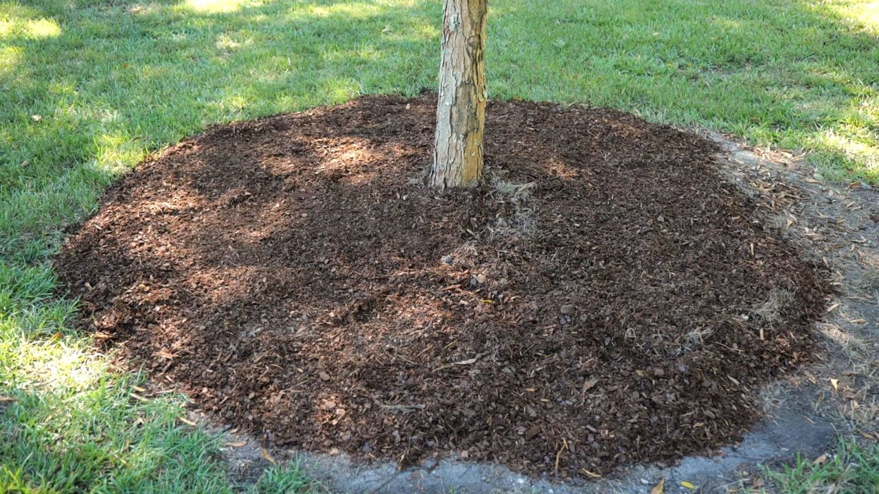 Get It Growing: It’s important to properly mulch trees